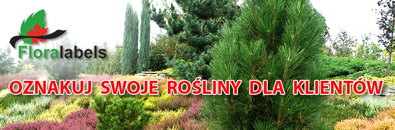 Szeroki asortyment etykiet do oznaczania i prezentacji roślin.
